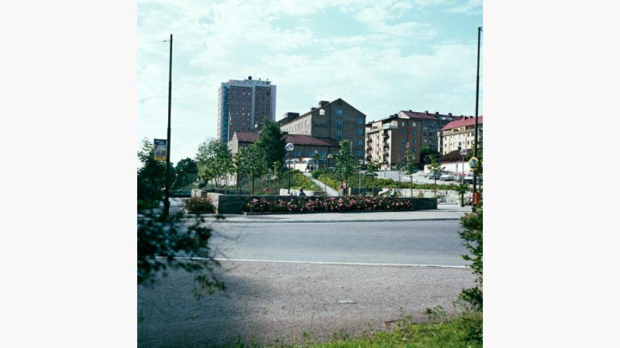 Foto av planteringarna vid Valhallavägen/Körsbärsvägen, 1962. Foto: Ingemar Gram/Stockholms stadsmuseum